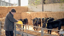 West Cornwall: Calf Health & Performance